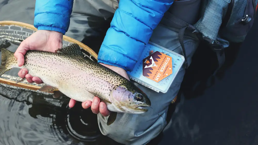 Rainbow Trout