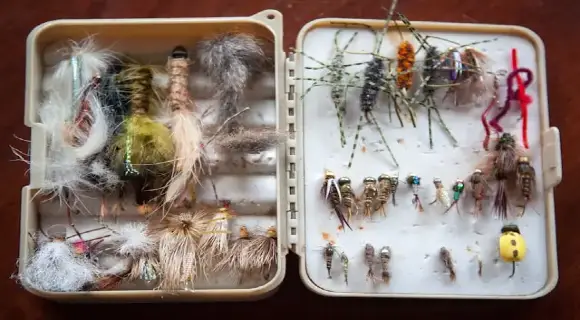 Flies in a Fly Box.